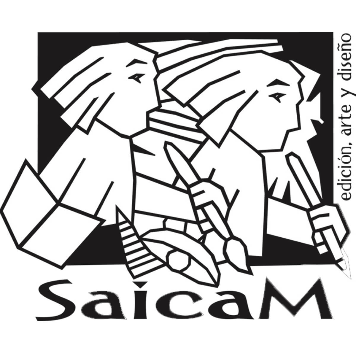 ciencialudica.saicamead.com